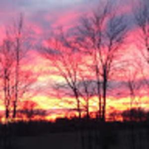 Meet your Posher, Brandy